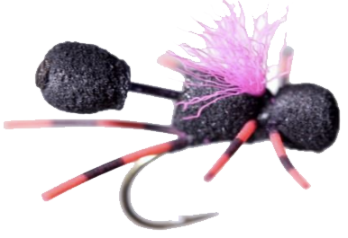 Js Boobie Ant For Sale Online Js Boobie Ant For Sale Online